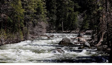 California readies for treasure hunt as floods wash up 'Gold Rush 2.0'